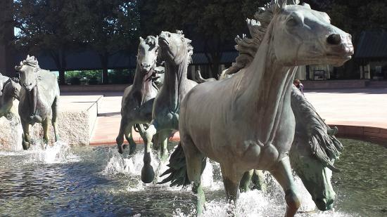 Mustangs of Las Colinas